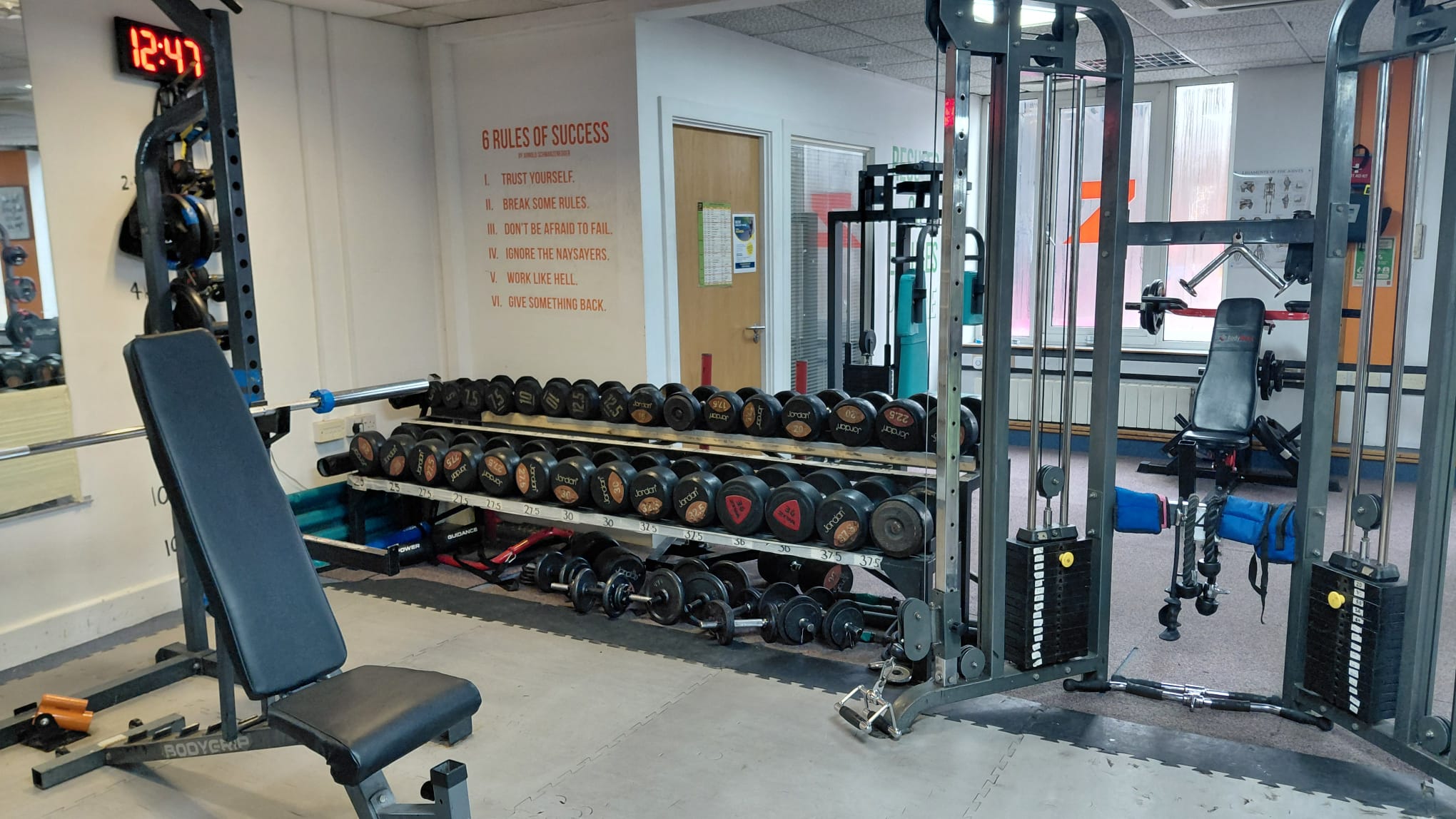 Racked dumbbells and cable machines in the free weights area.